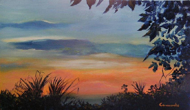 ATARDECER (CONTRALUZ)
