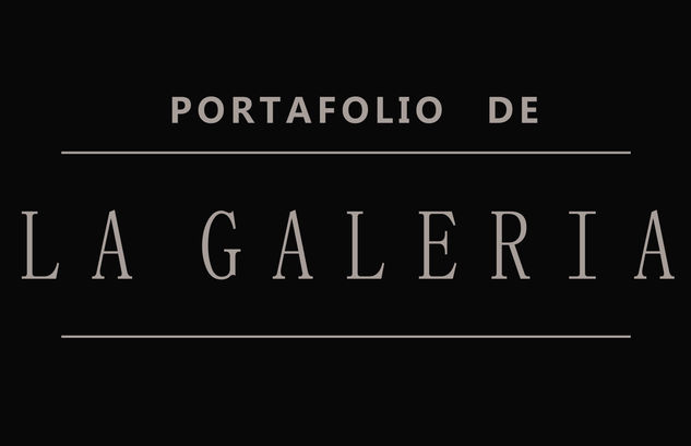 Portafolio de la Galeria 