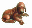 mascota