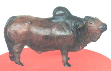 Padrón