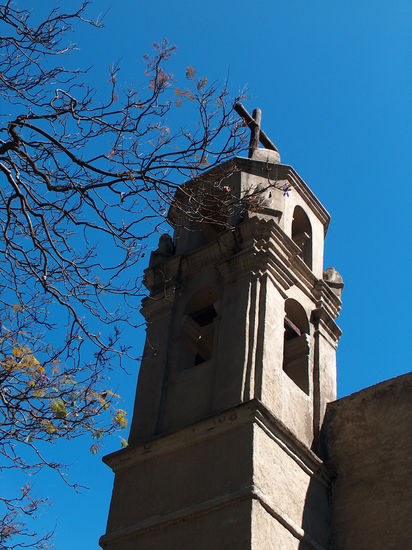 Ramas y cielo 