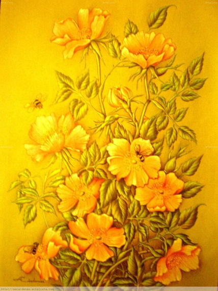 Rosas y Abejas
