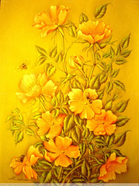 Rosas y Abejas