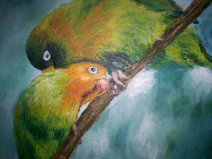 Pericos