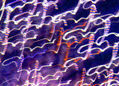 variations 6