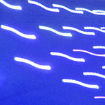 signs thumbnail 1