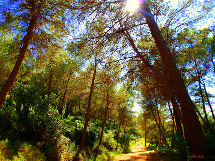 Luces y sombras