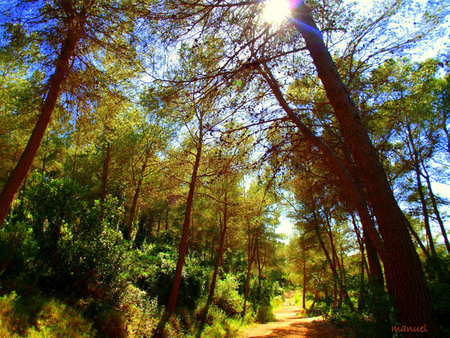LUCES Y SOMBRAS