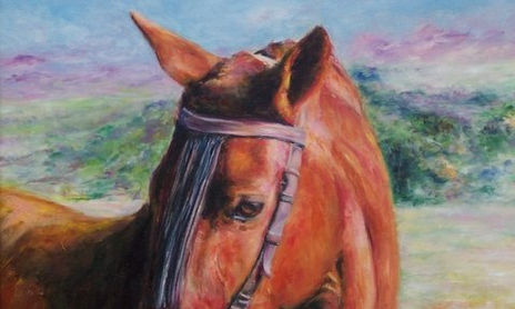 Animales