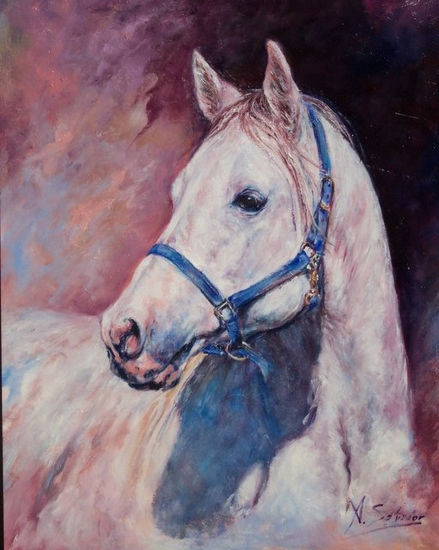 Caballo cartujano I Oil Canvas Animals