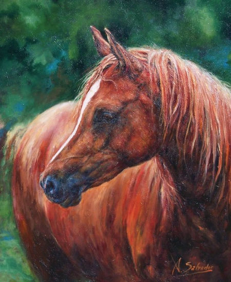 Caballo alazan III Oil Canvas Animals