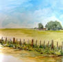 PAISAJE DE LA PAMPA