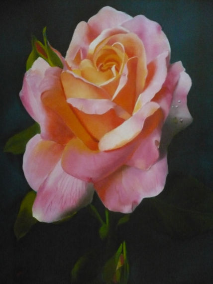 Rosas de mayo