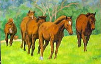 Caballos