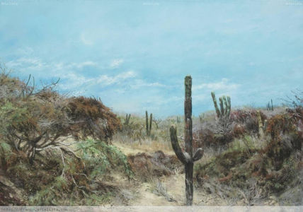 Baja California 1