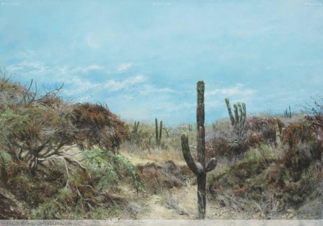 Baja California 1