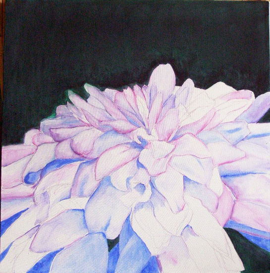 rosa silvestre Acrylic Canvas Floral Painting