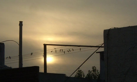 Fotografica