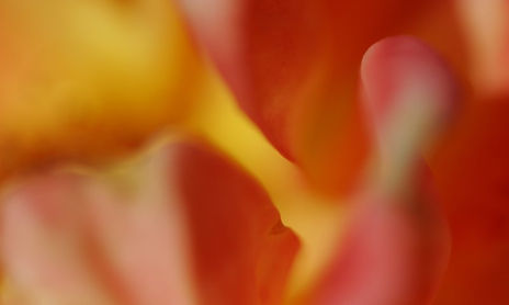 Abstracciones
