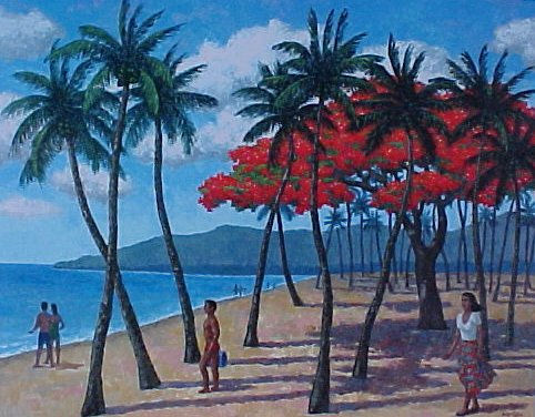 Flamboyán entre Palmeras