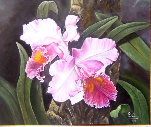 Orquidea