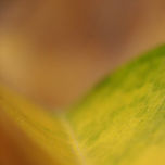 Abstracciones thumbnail 1