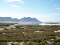 Paisaje de almeria