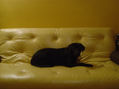 ona descansando