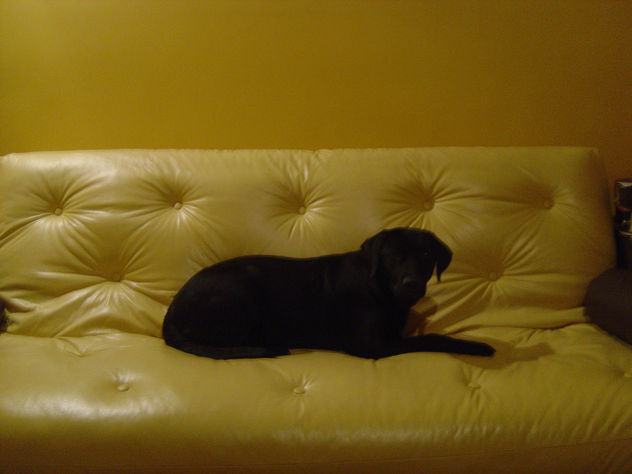ona descansando
