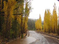 Lluvia Otoñal