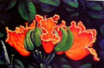 Tulipán Africano