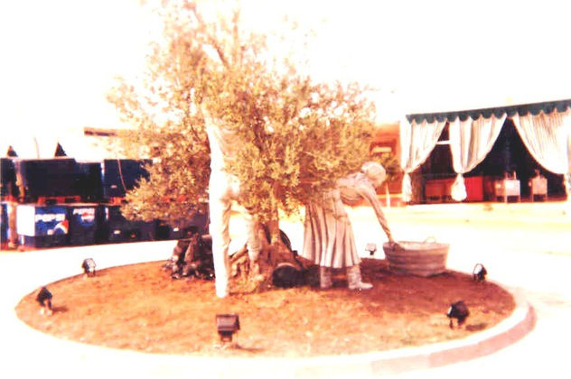 COGEORES