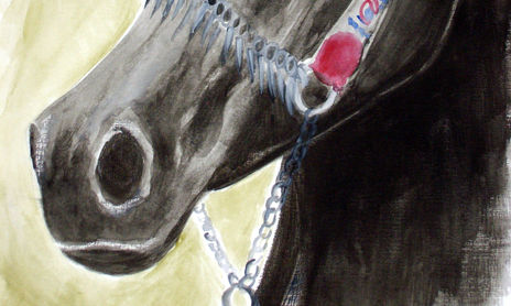 Caballos
