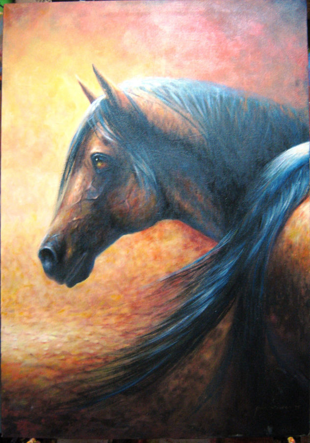 palomino
