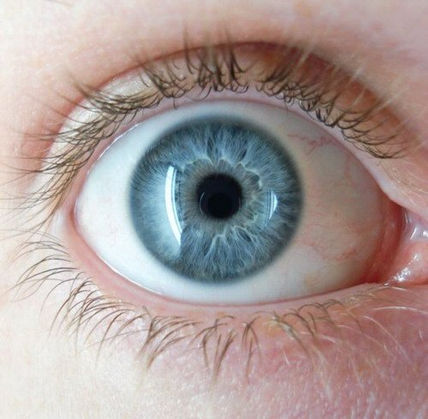 El mensagen del ojos