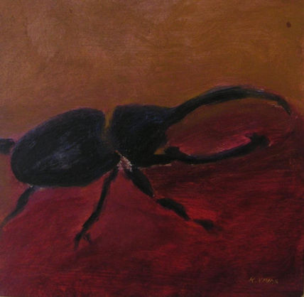 Dynastes Hercules