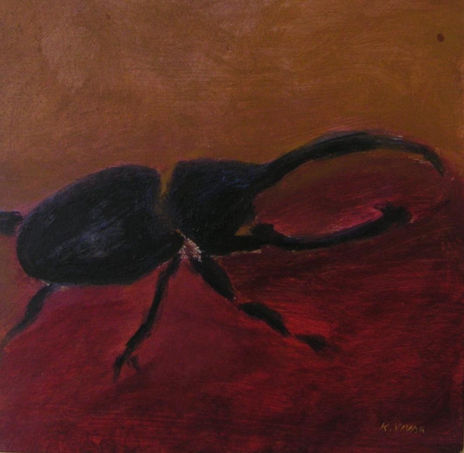 Dynastes Hercules