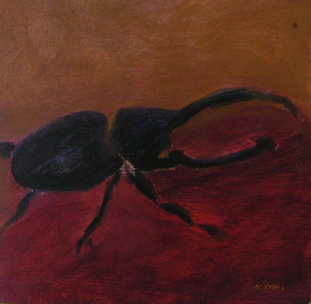 Dynastes Hercules