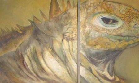 Animales