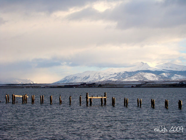 Puerto Natales Nature Color (Digital)