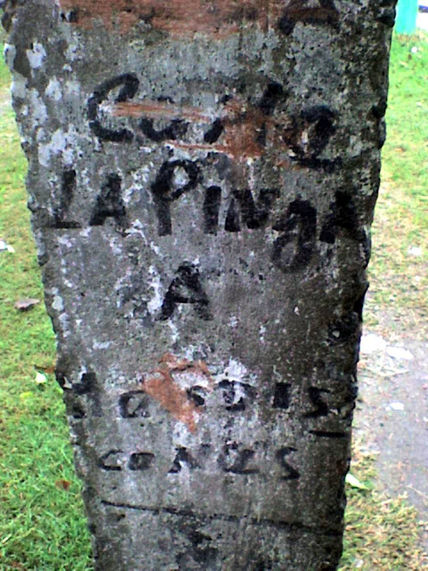 Cemento libre