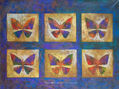mariposas