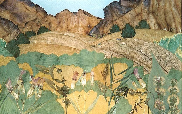 PAISAJE 1