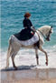 Caballo en la playa