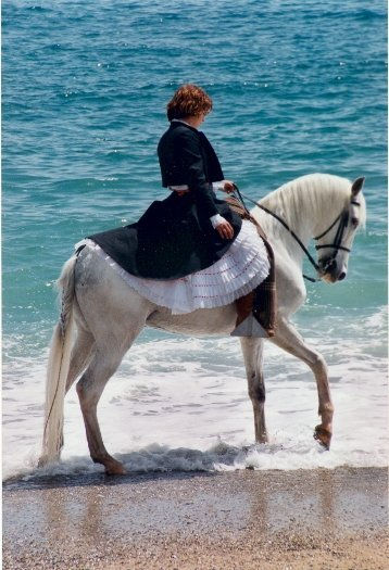 Caballo en la playa 