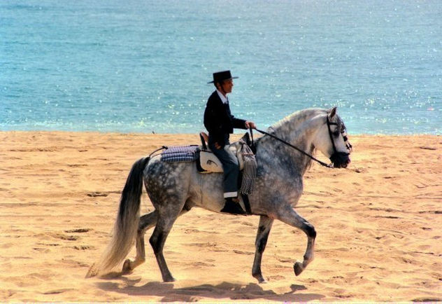 Caballo en la playa