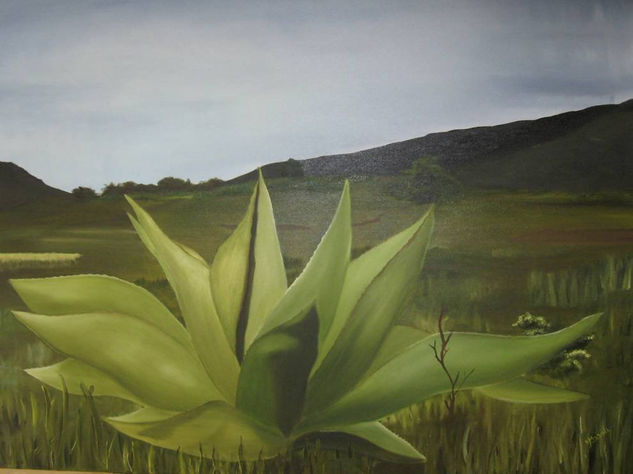 Maguey Oil Canvas Landscaping