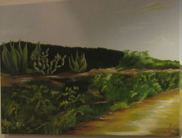 Nopal Oil Canvas Landscaping