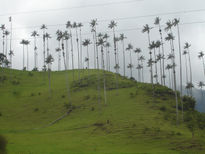 Paisaje Quindiano