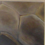 Animales thumbnail 1